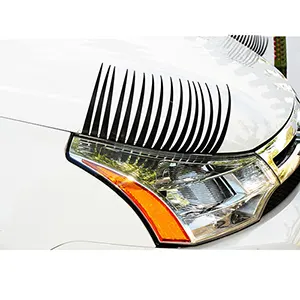 Car Headlight Eyelashes