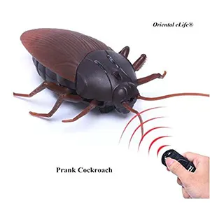 Remote Control Giant Cockroach